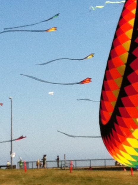 Dallas Road Kite Festival in Victoria